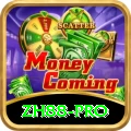 zh88 - Elite Earning App